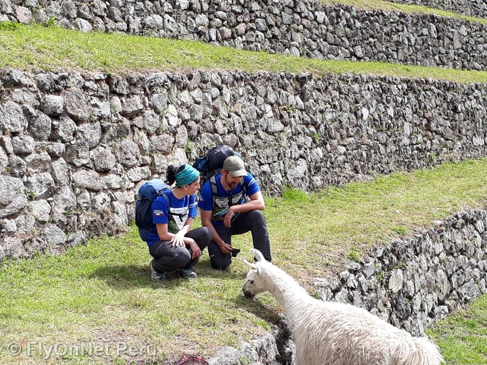 Fotoalbum: Machu Picchu