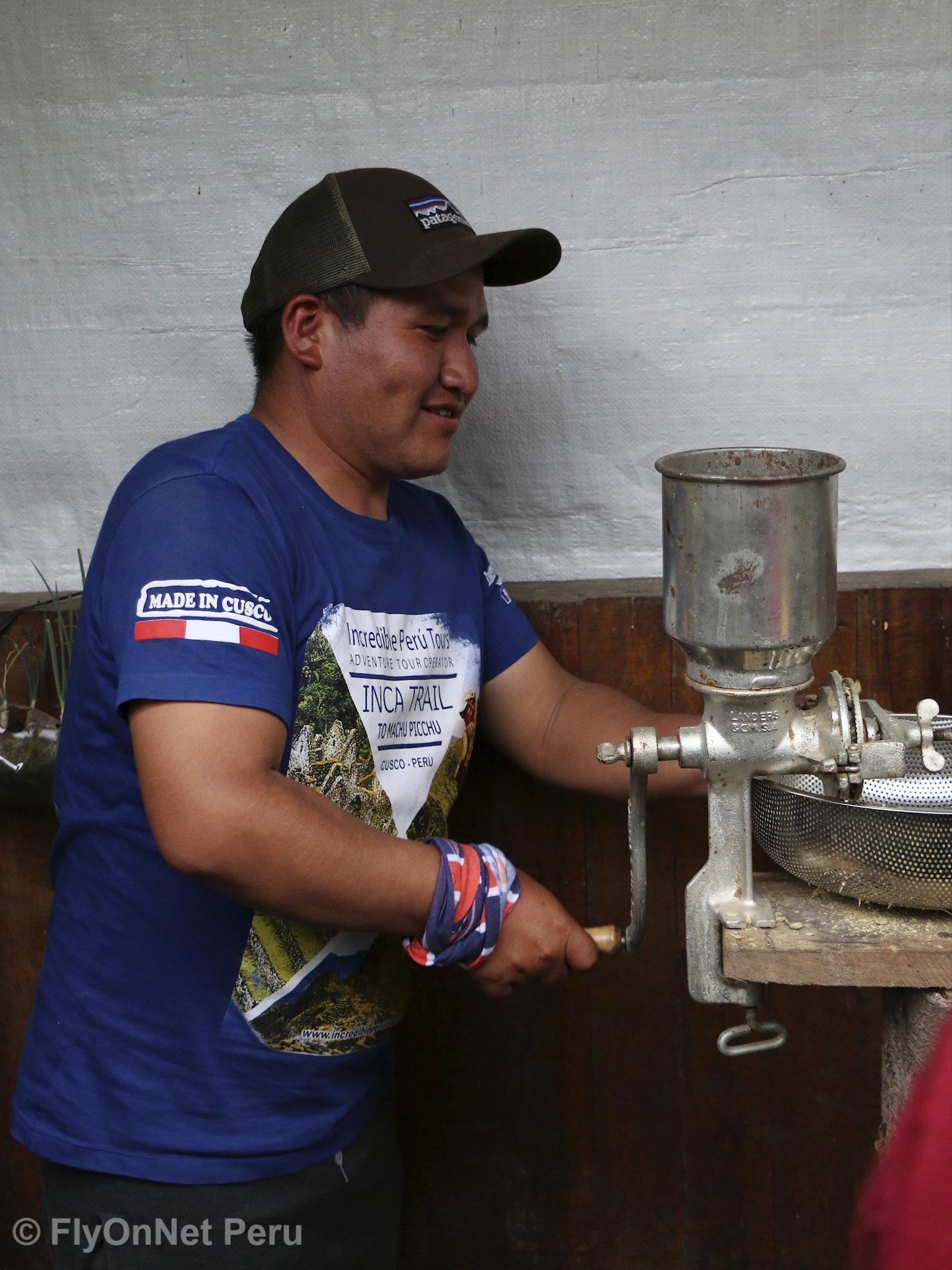 Fotoalbum: Besuch der Kaffeeplantage