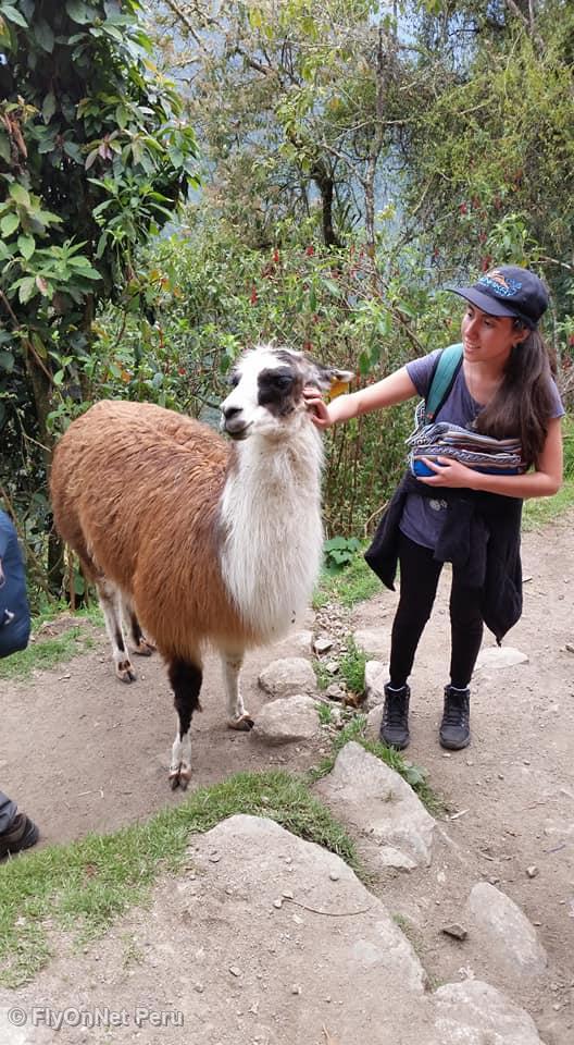 Fotoalbum: Machu Picchu