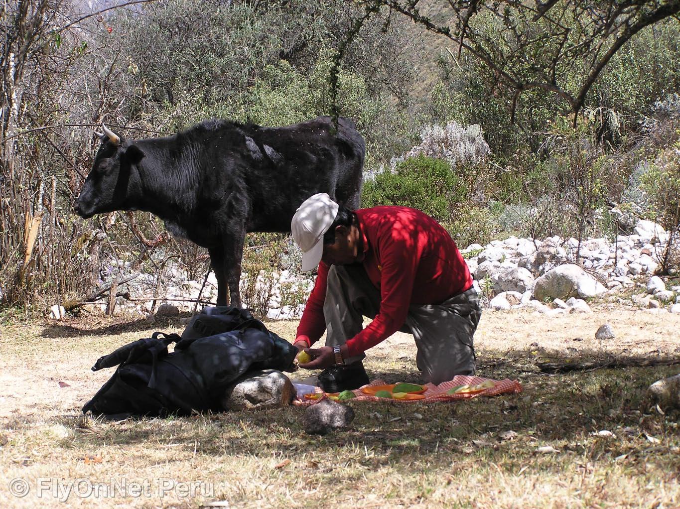 Fotoalbum: Salcantay